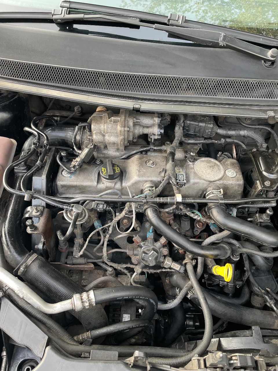 Ford Focus - фото 8