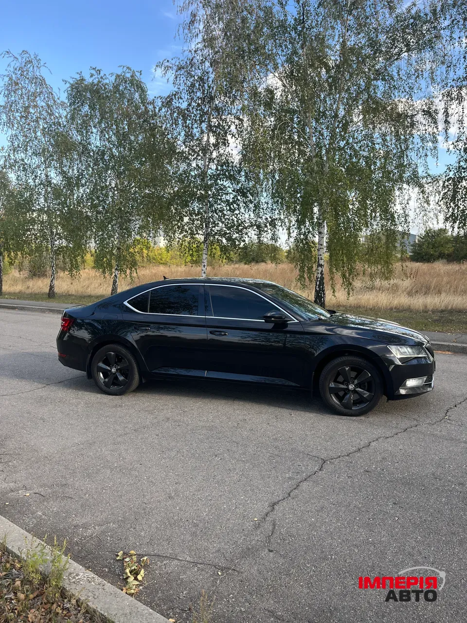 Skoda Superb - фото 1