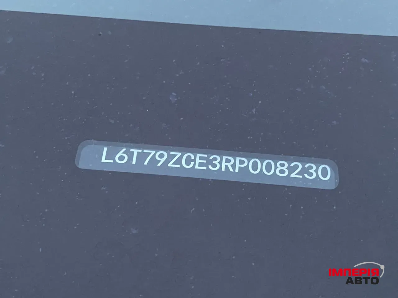 Zeekr 009 - фото 42