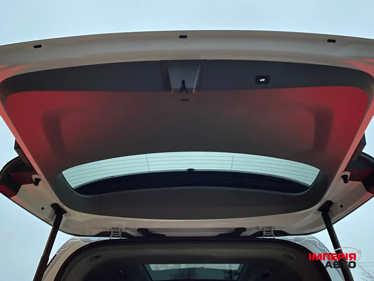 Zeekr 009 - фото 38