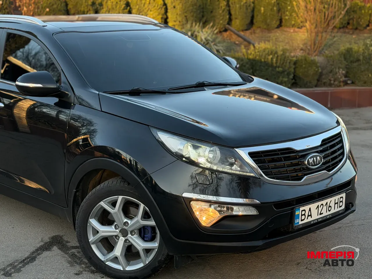 Kia Sportage - фото 8
