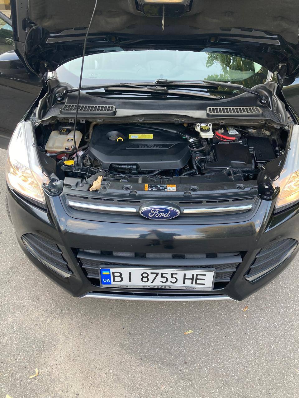 Ford Escape - фото 7
