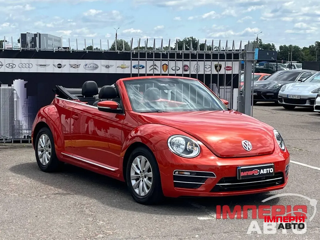 Volkswagen Beetle - фото 3