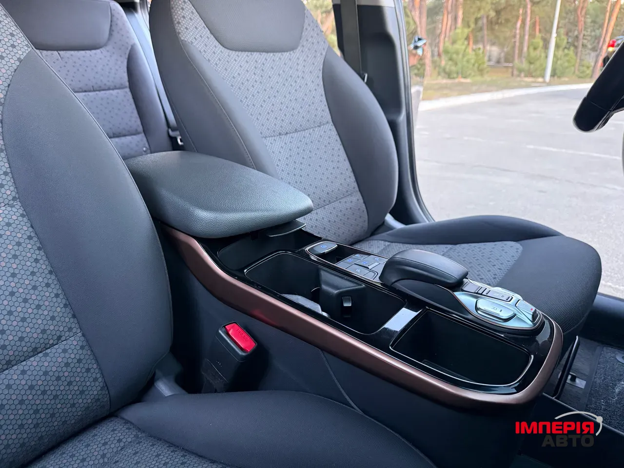 Hyundai IONIQ - фото 88