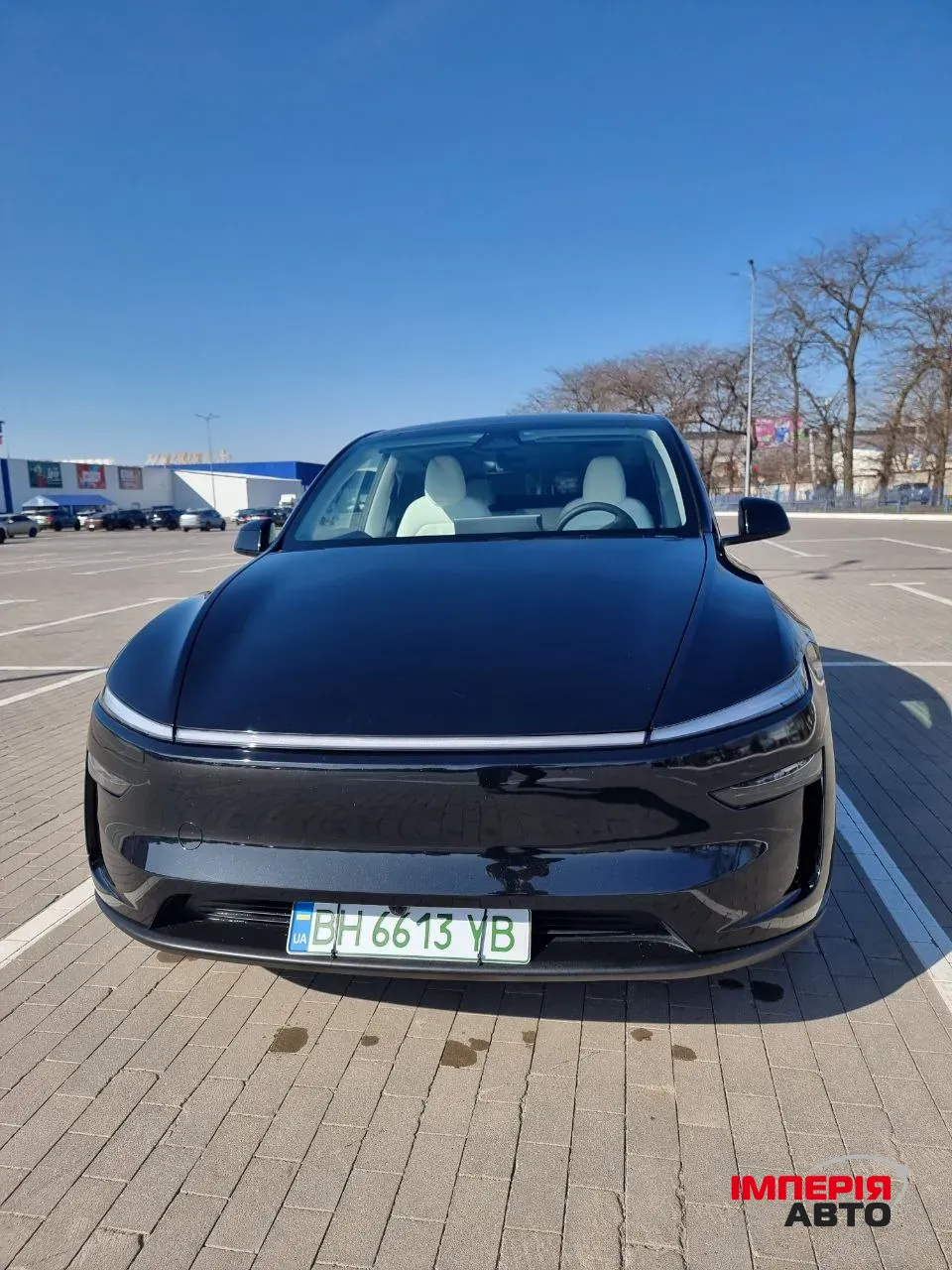 Tesla Model Y - фото 1