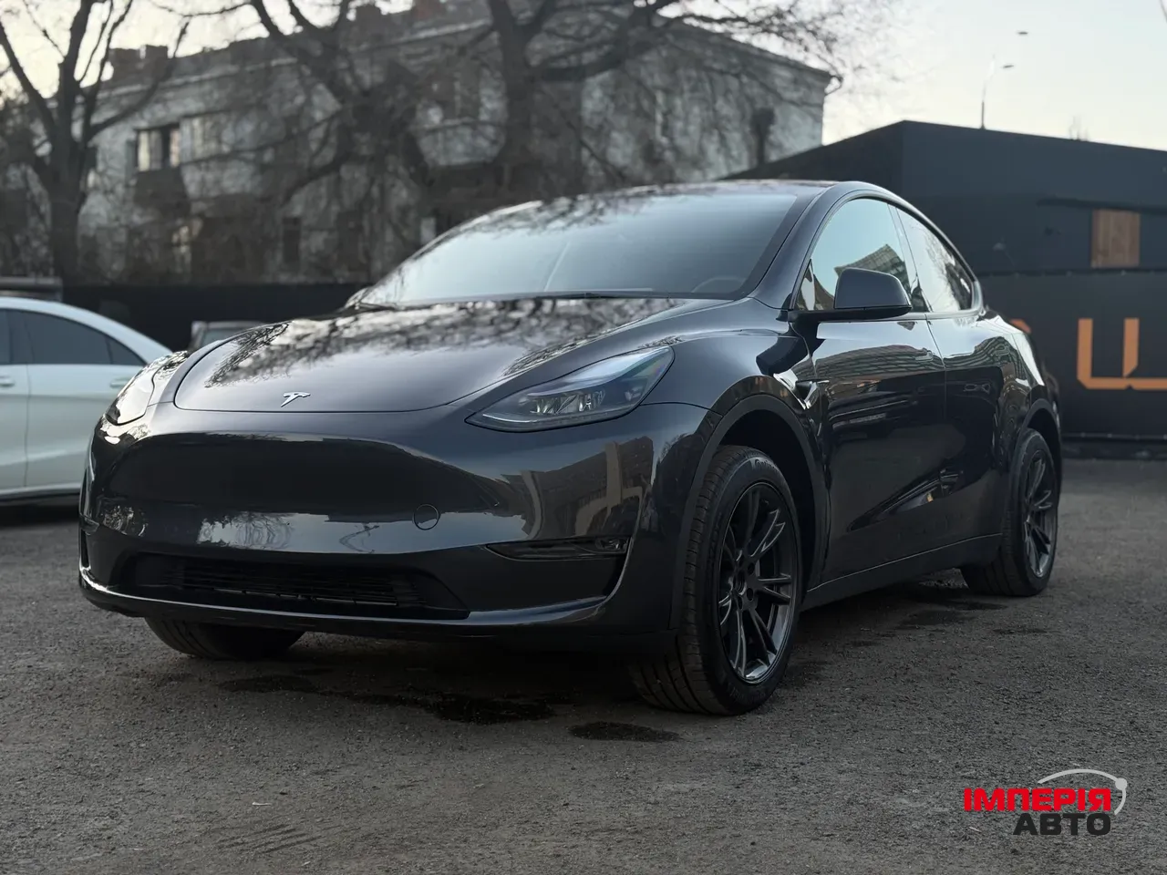 Tesla Model Y - фото 1