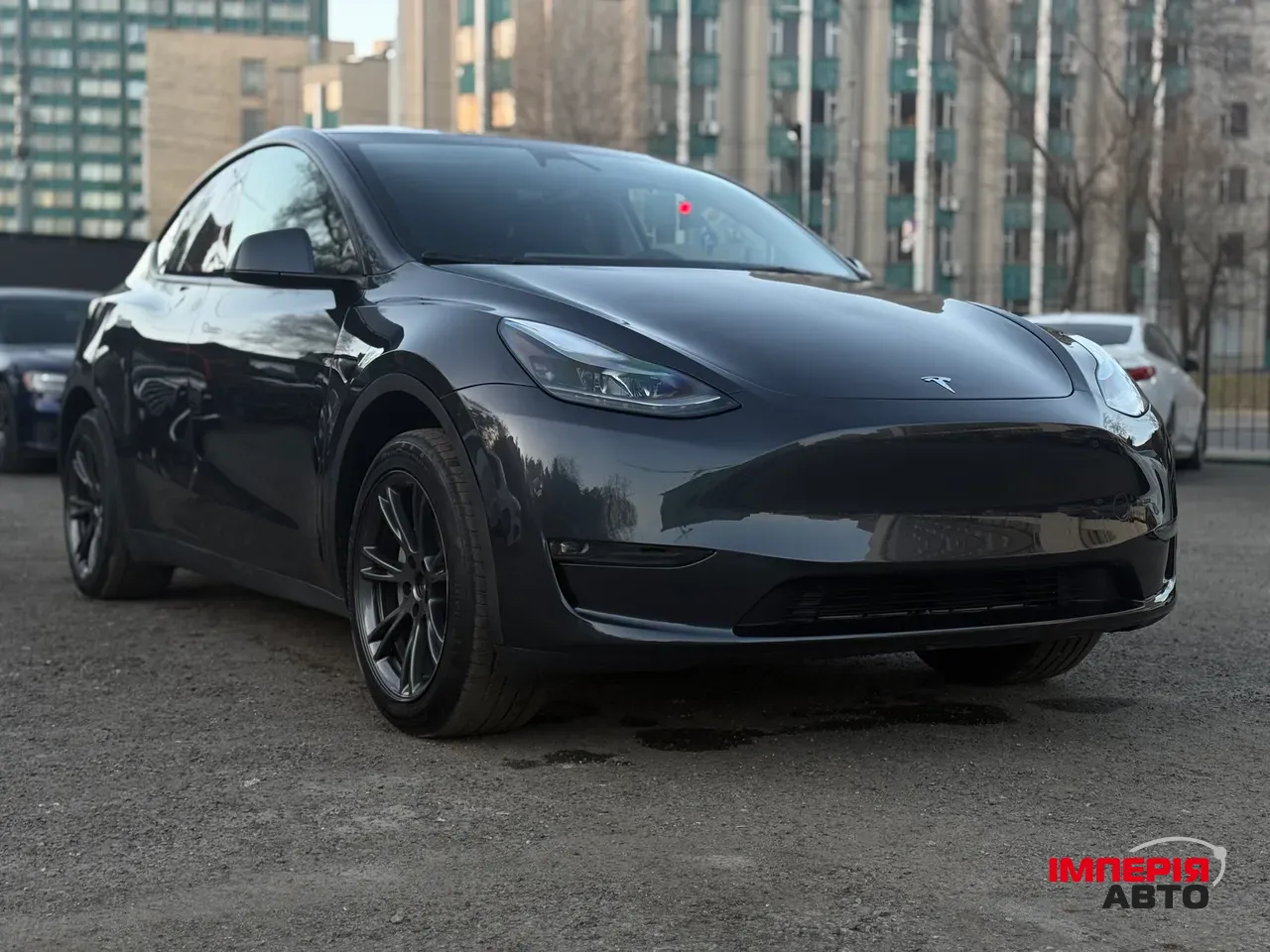 Tesla Model Y - фото 3