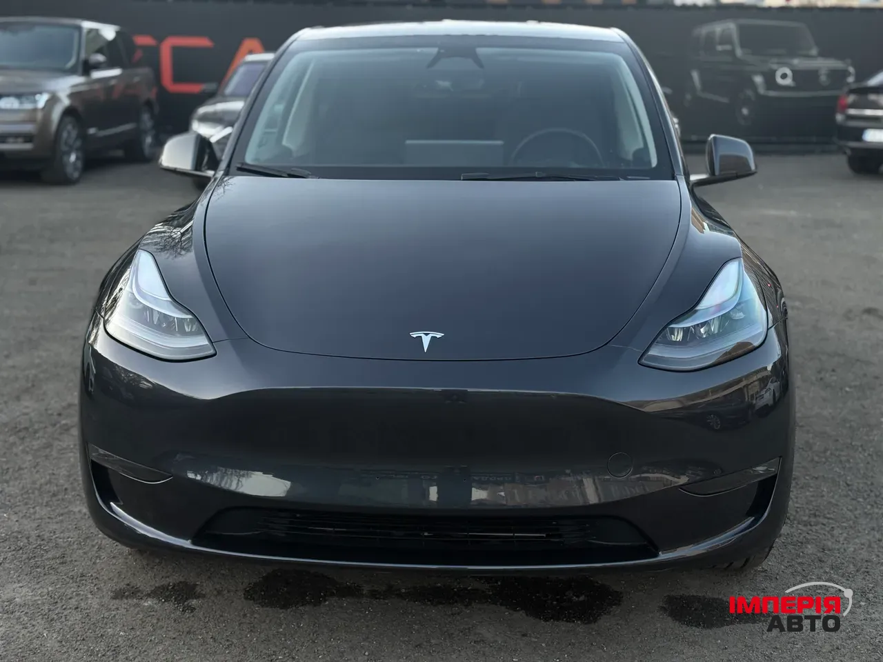 Tesla Model Y - фото 2