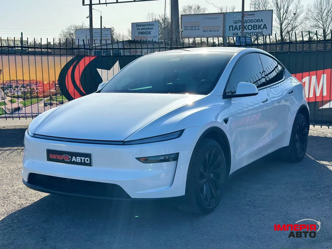 Tesla Model Y - фото 1