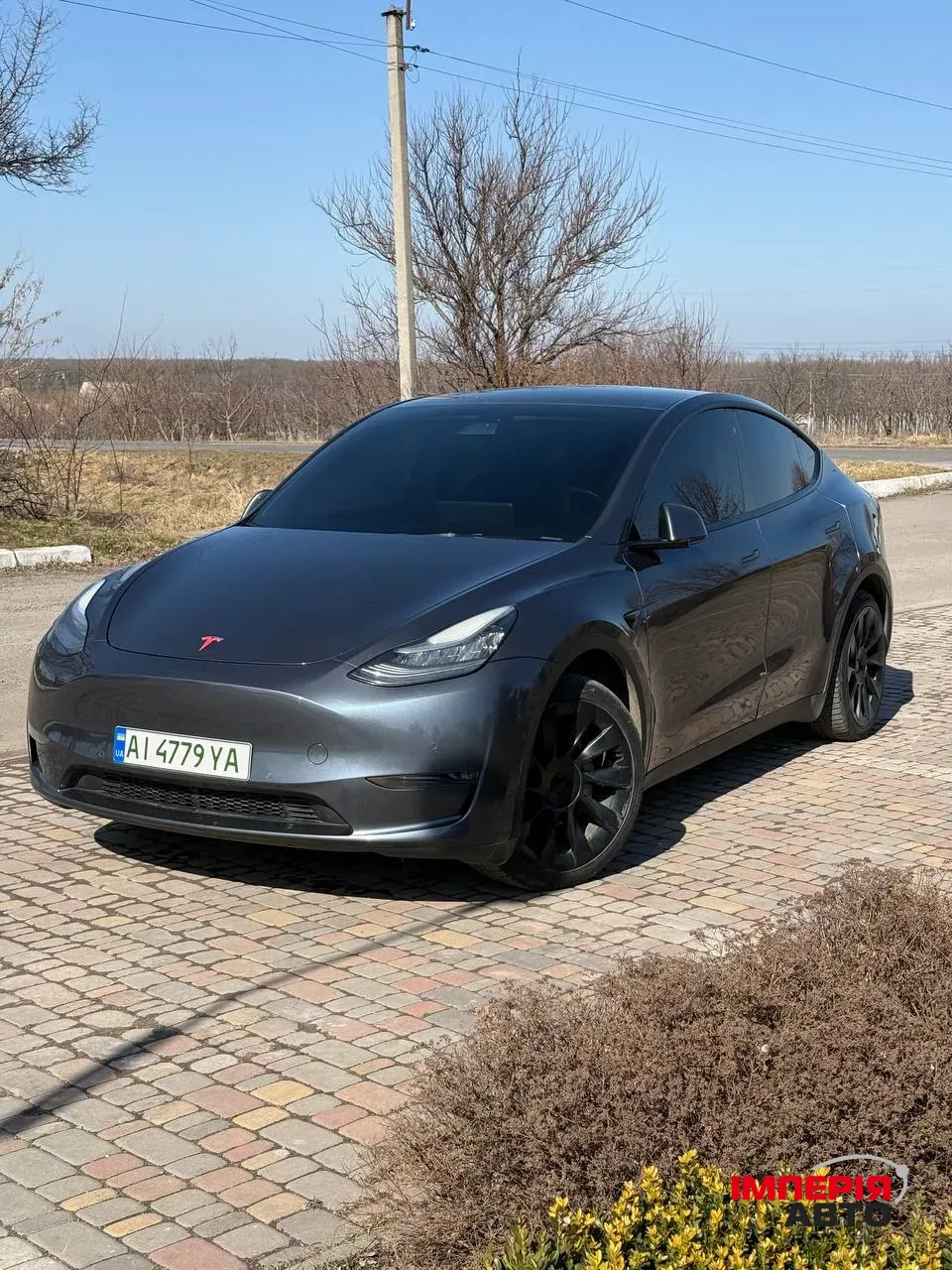 Tesla Model Y - фото 1
