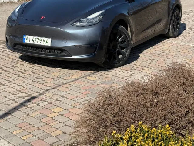Tesla Model Y - фото 1
