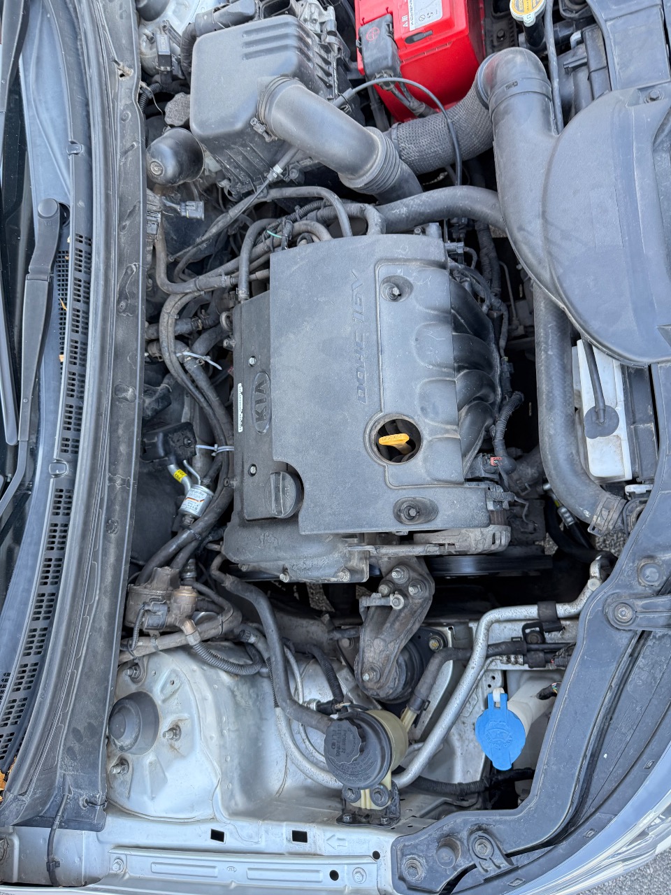 Kia Cerato - фото 9