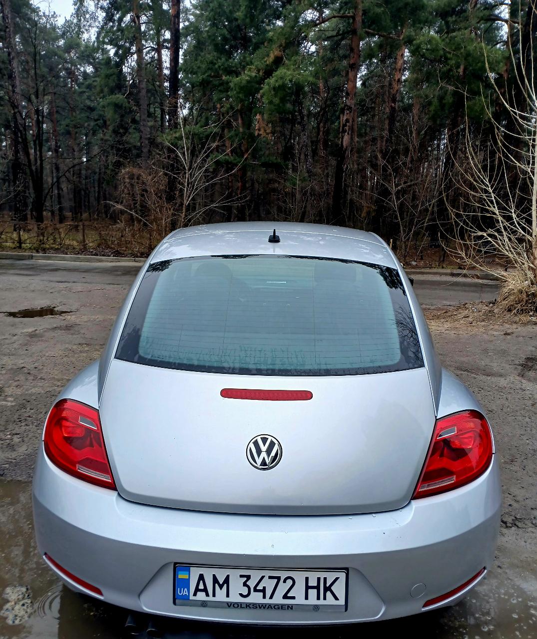 Volkswagen Beetle - фото 6