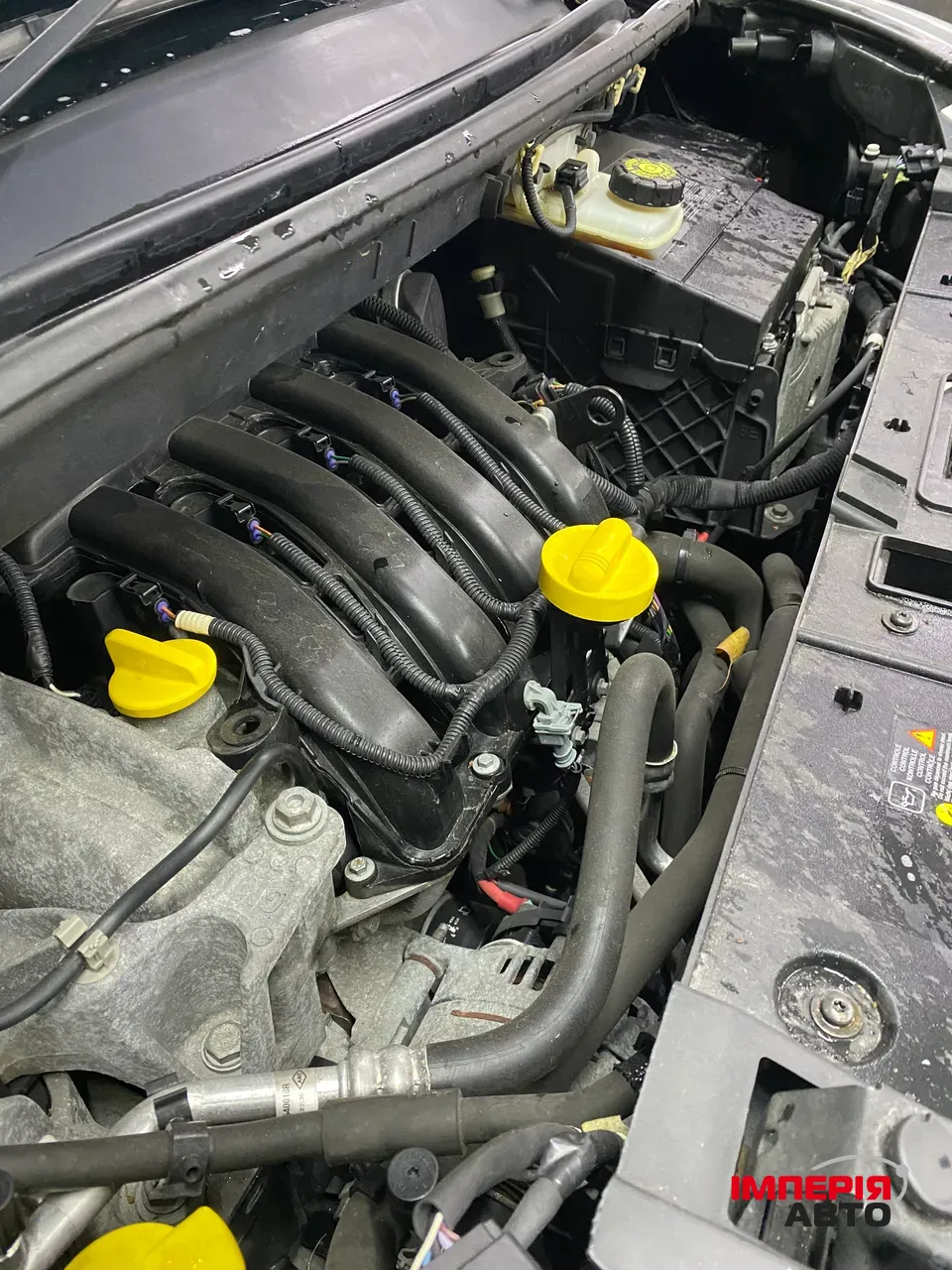 Renault Scenic - фото 24