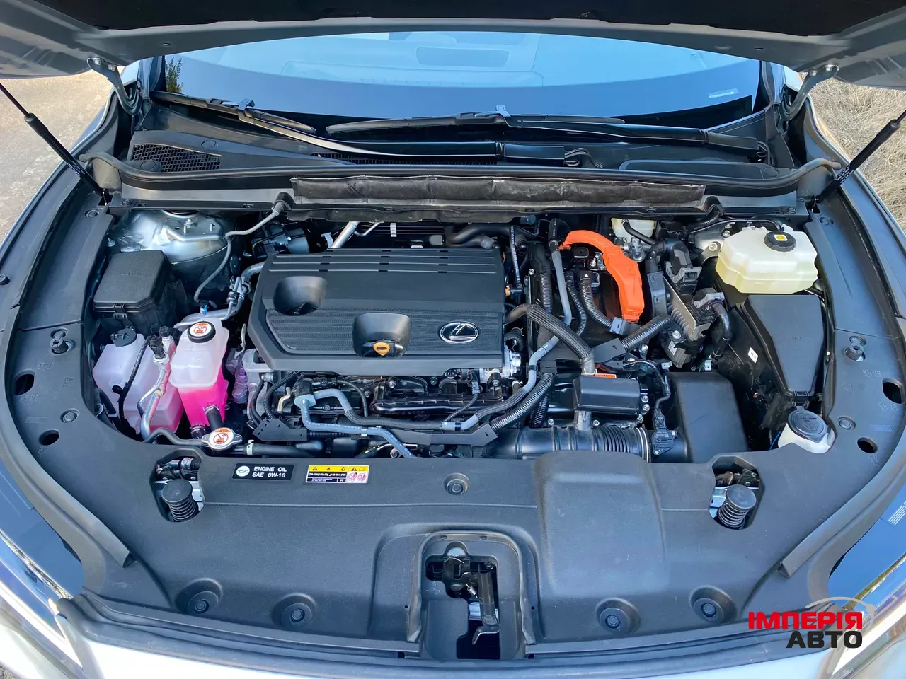 Lexus RX - фото 50