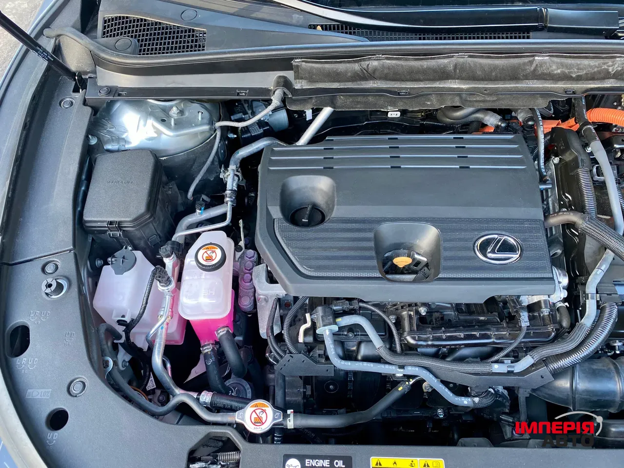 Lexus RX - фото 53