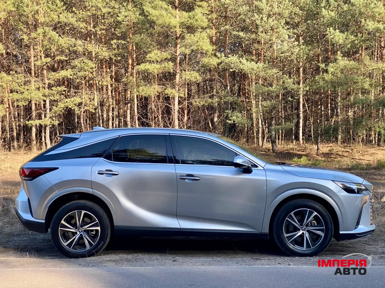 Lexus RX - фото 6