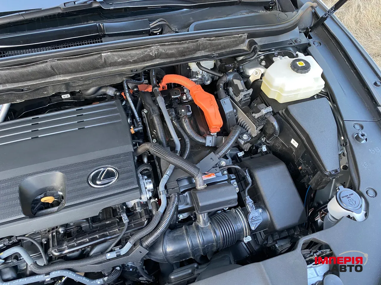 Lexus RX - фото 52