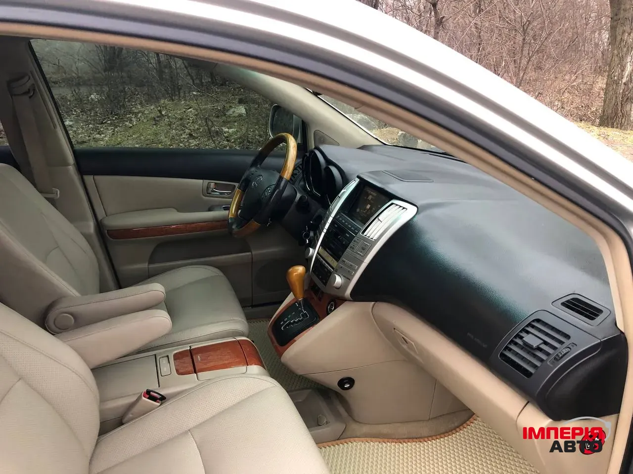 Lexus RX - фото 17