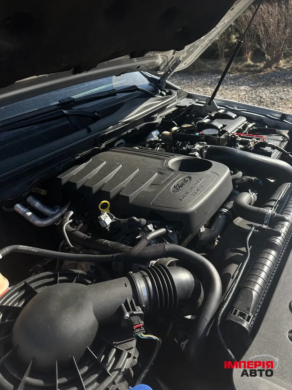 Ford Ranger - фото 18