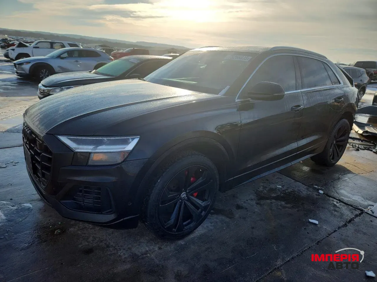 Audi Q8 - фото 3