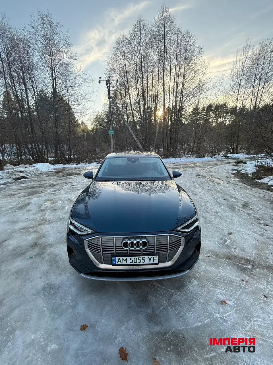 Audi e-tron - фото 2