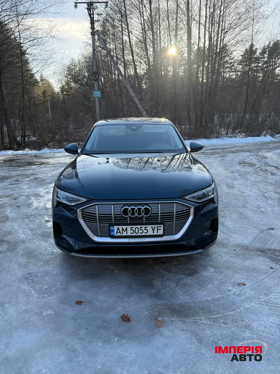 Audi e-tron - фото 31