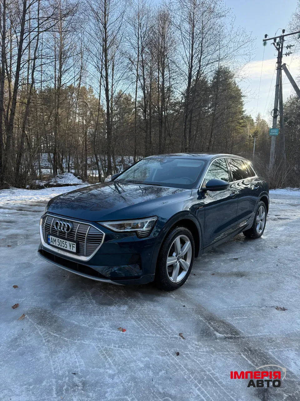 Audi e-tron - фото 30