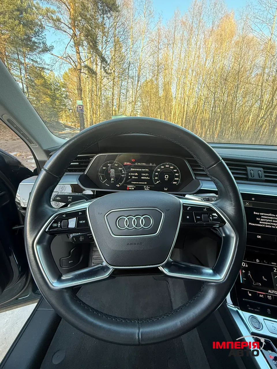 Audi e-tron - фото 19
