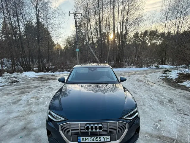 Audi e-tron - фото 2