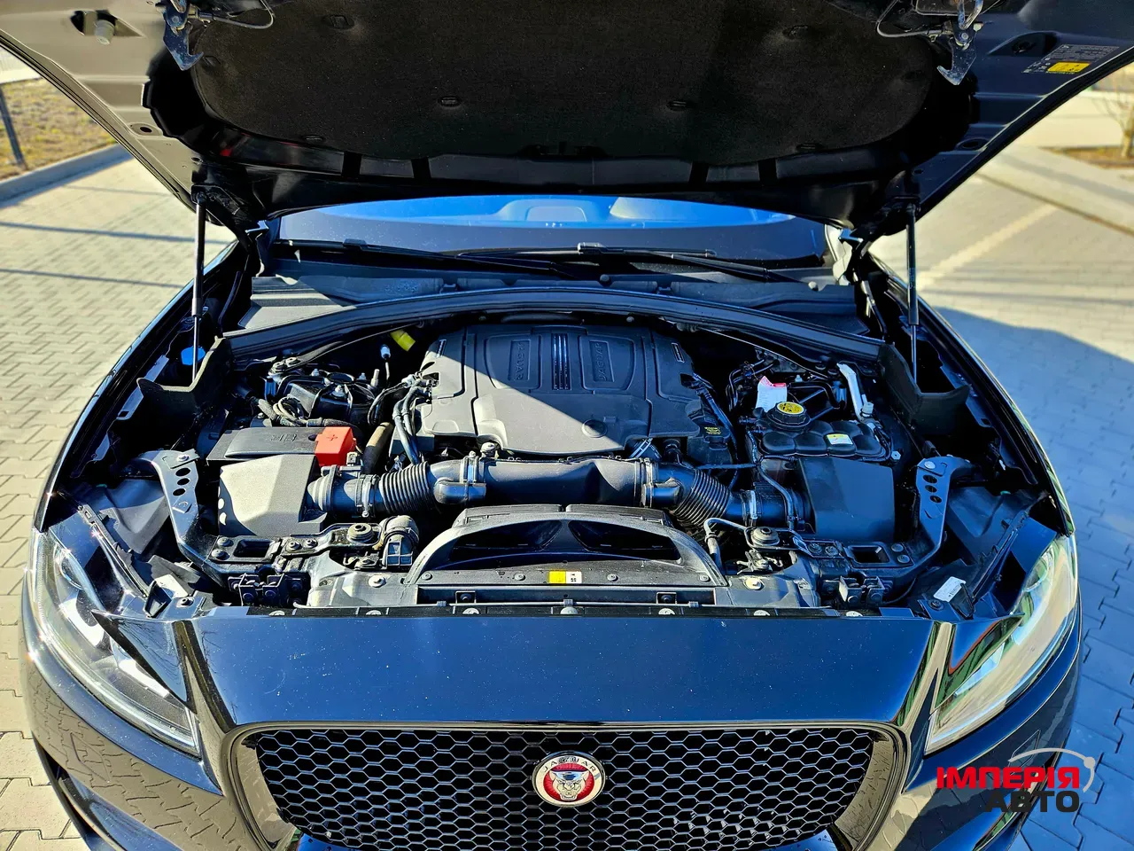 Jaguar F-Pace - фото 12