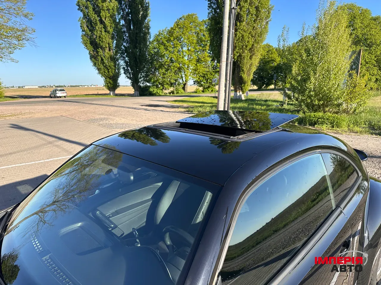 Volkswagen Beetle - фото 1