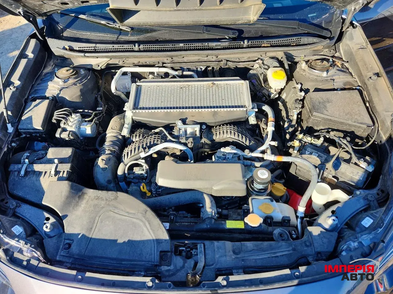 Subaru Outback - фото 10