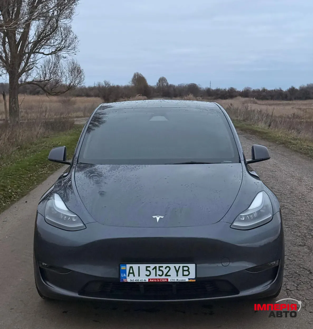 Tesla Model Y - фото 1
