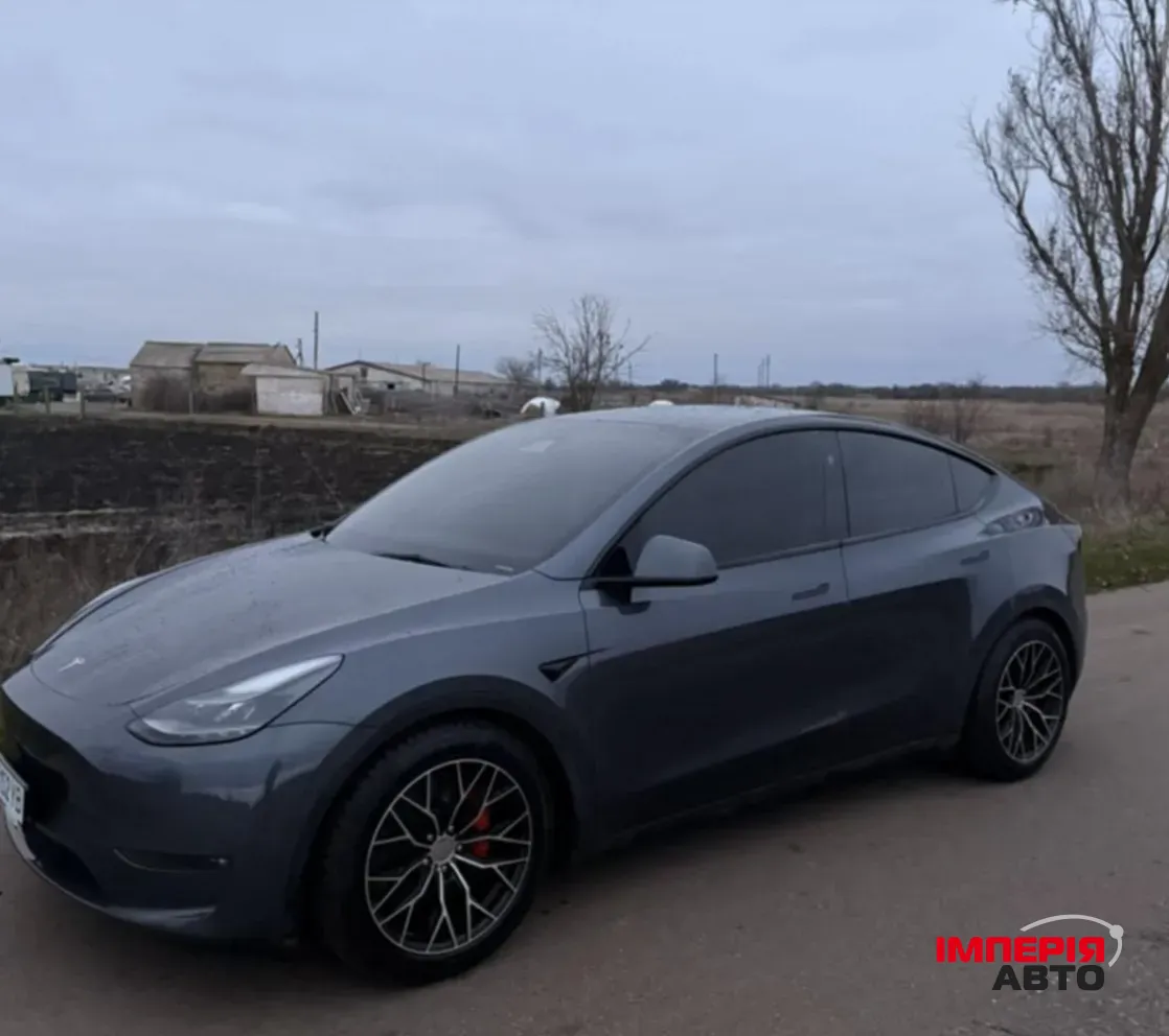 Tesla Model Y - фото 2