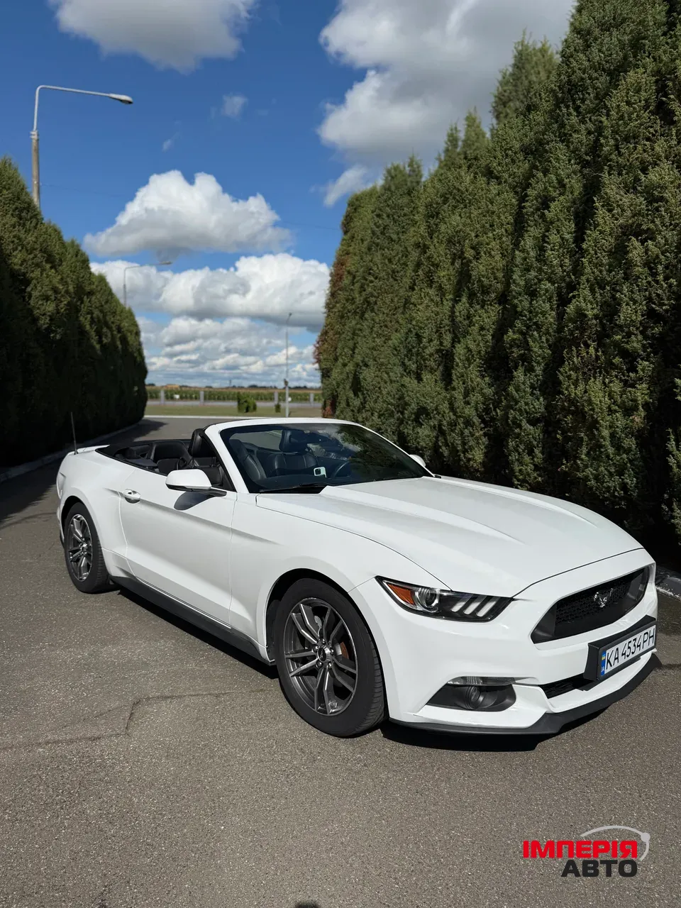 Ford Mustang - фото 1