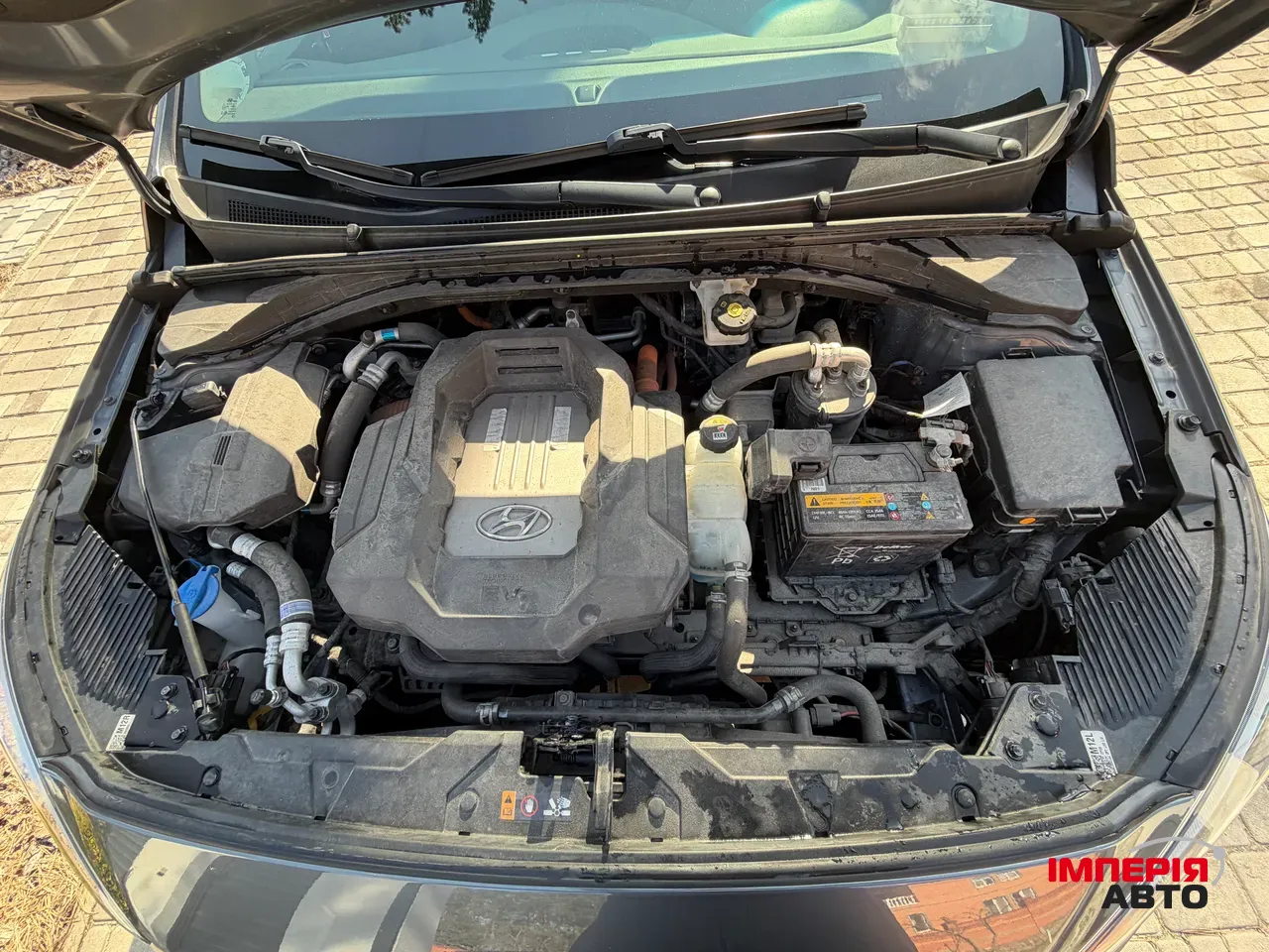 Hyundai IONIQ - фото 19