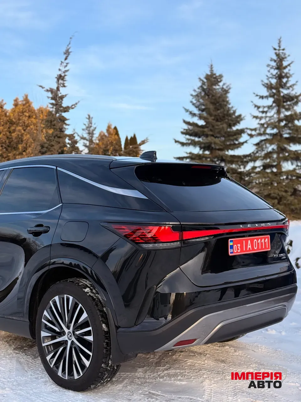 Lexus RX - фото 11