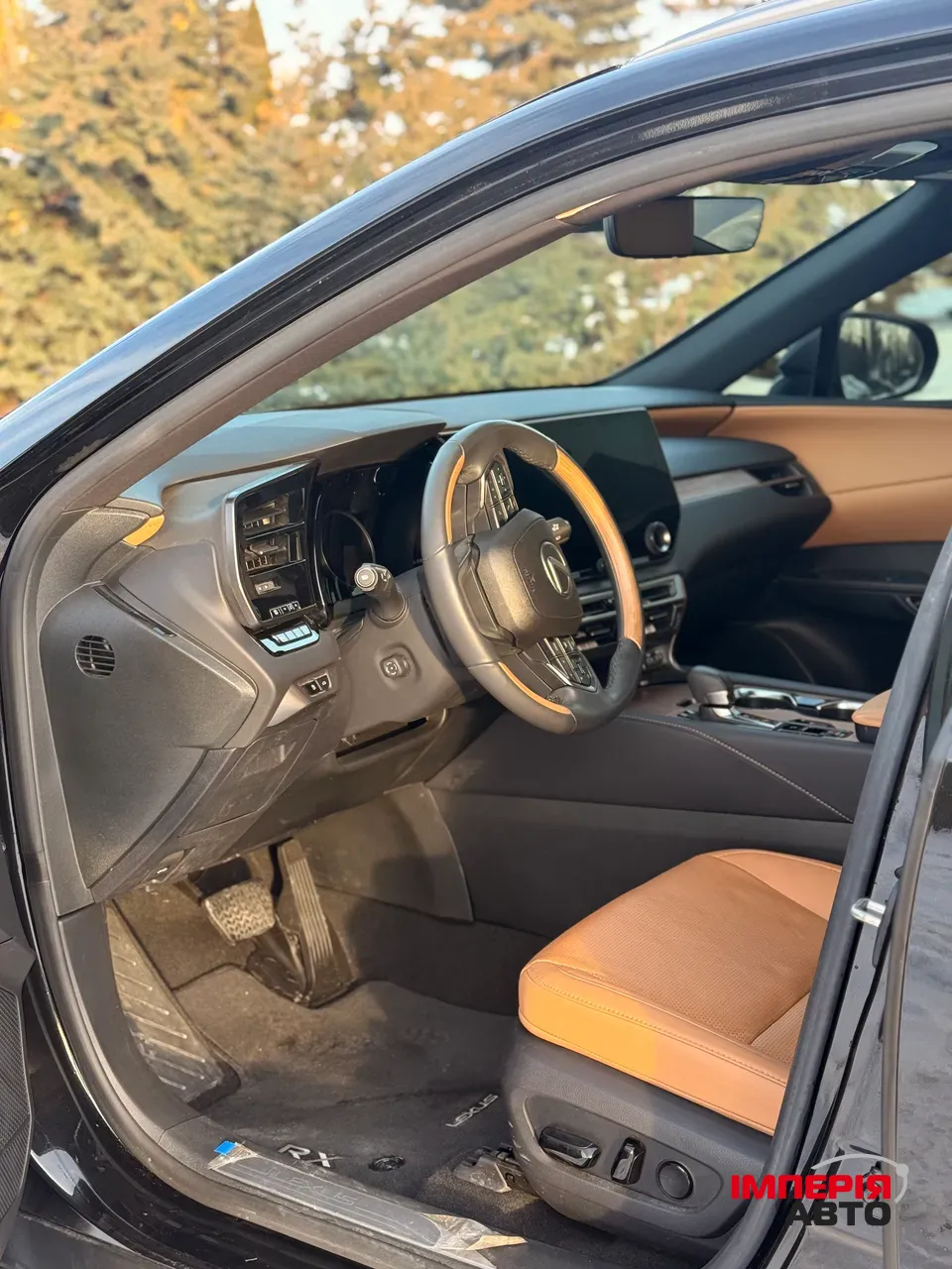 Lexus RX - фото 8