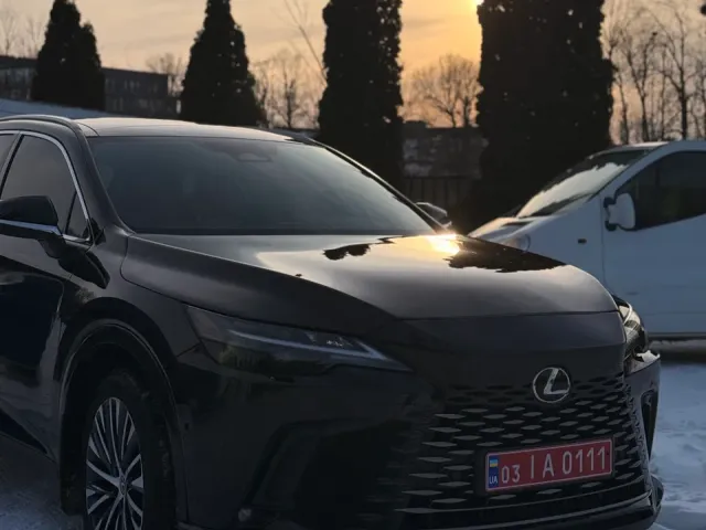 Lexus RX - фото 4