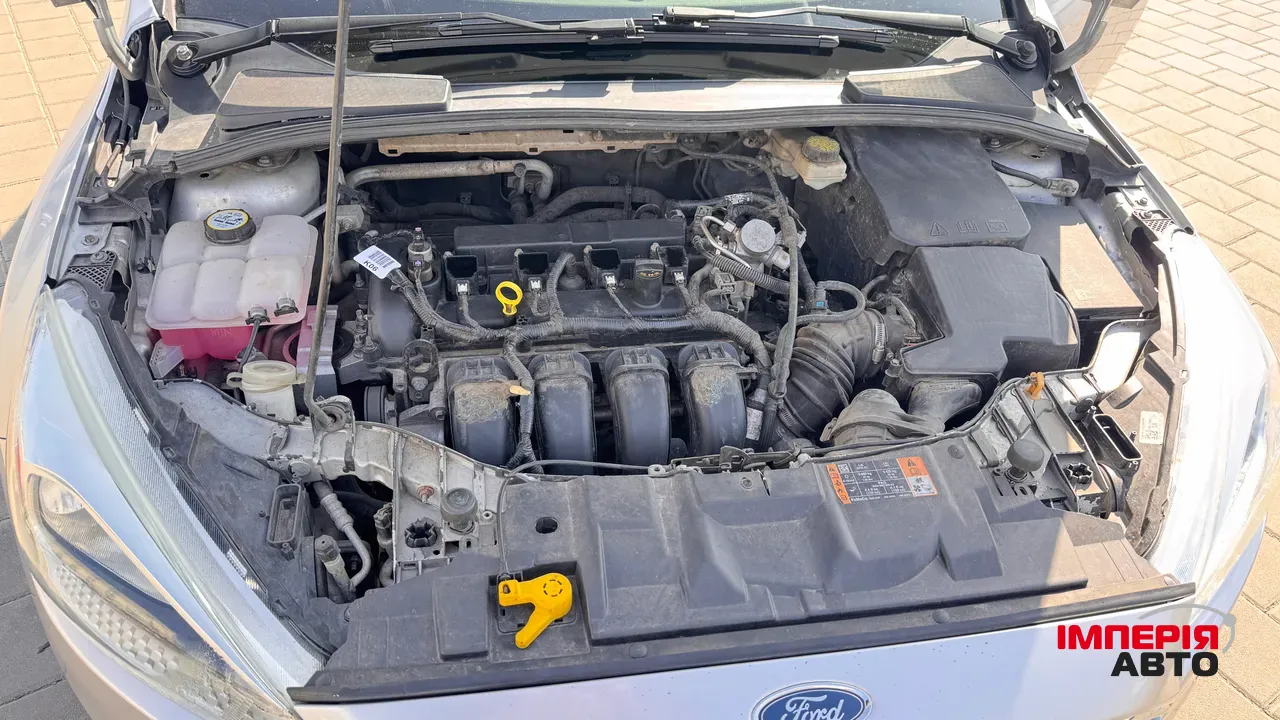Ford Focus - фото 8