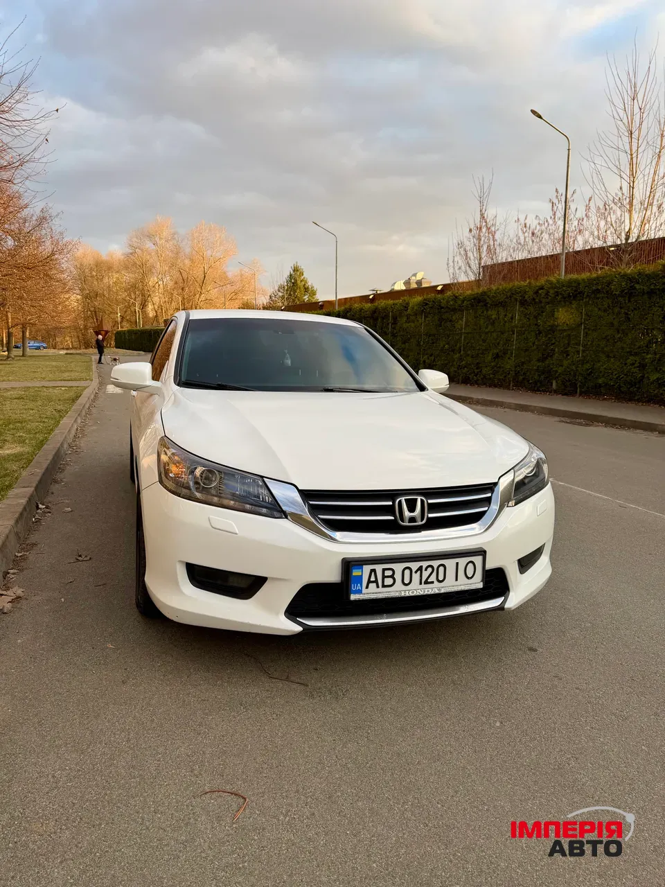 Honda Accord - фото 1