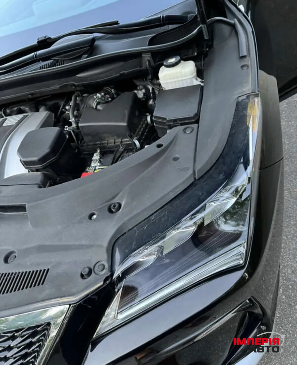 Lexus RX - фото 38