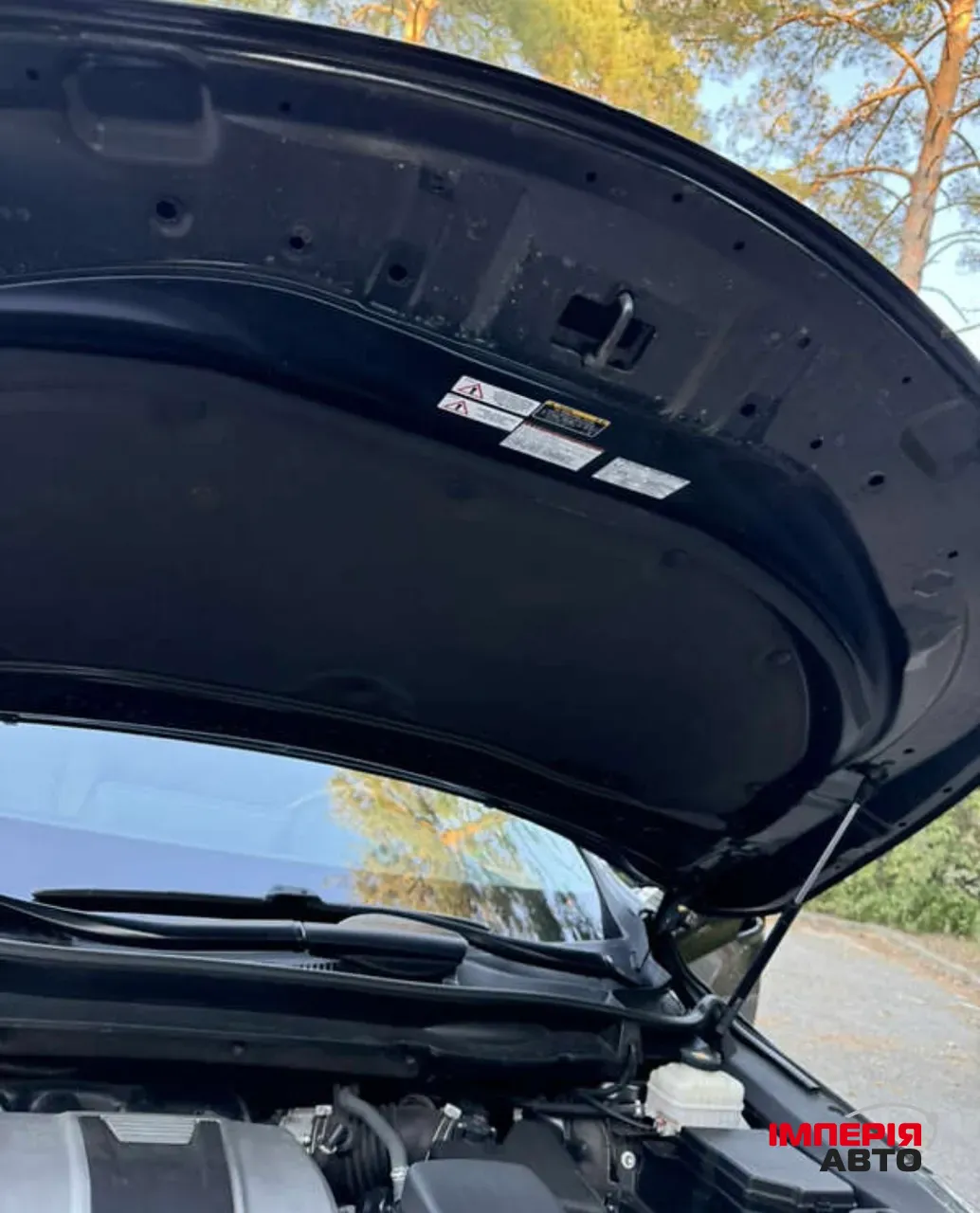 Lexus RX - фото 42