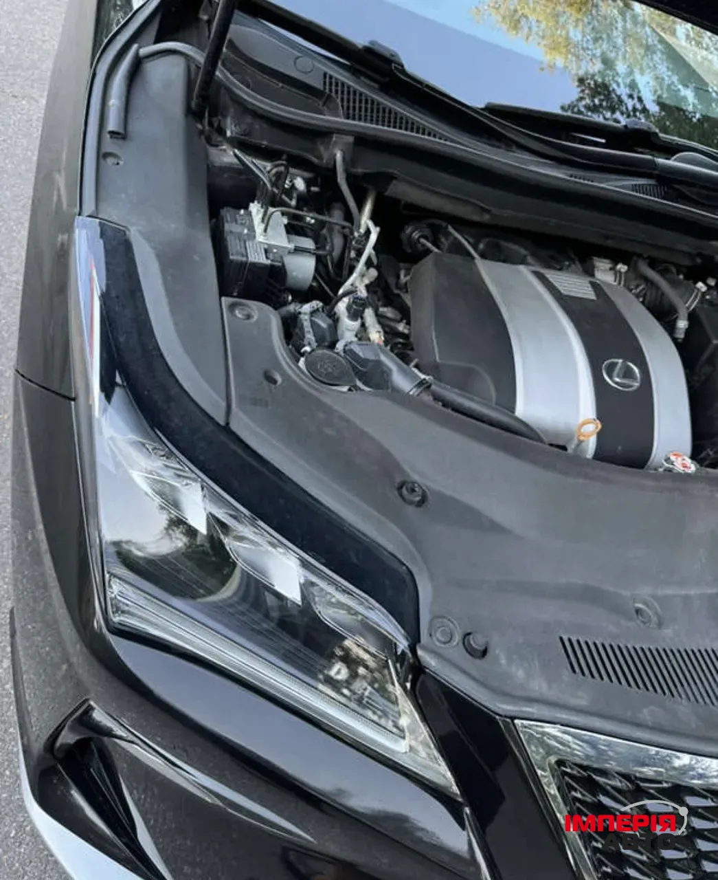 Lexus RX - фото 39