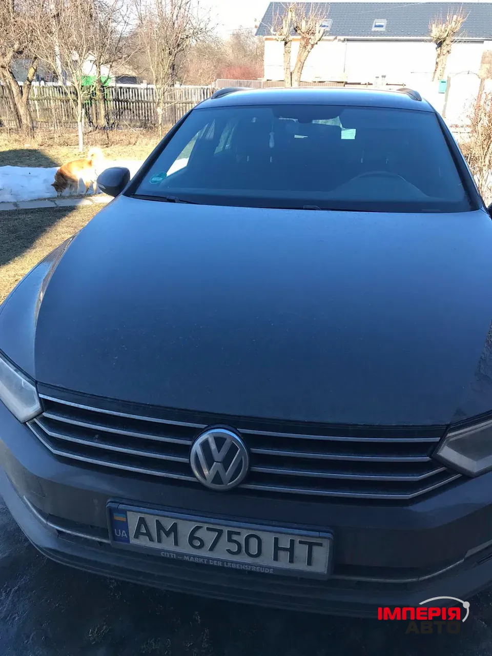 Volkswagen Passat - фото 3