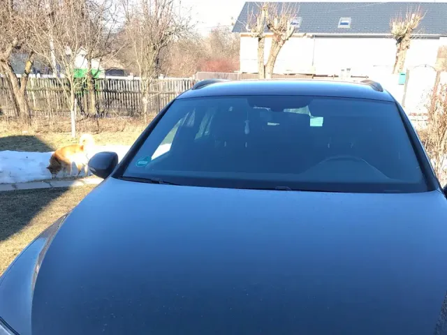 Volkswagen Passat - фото 3