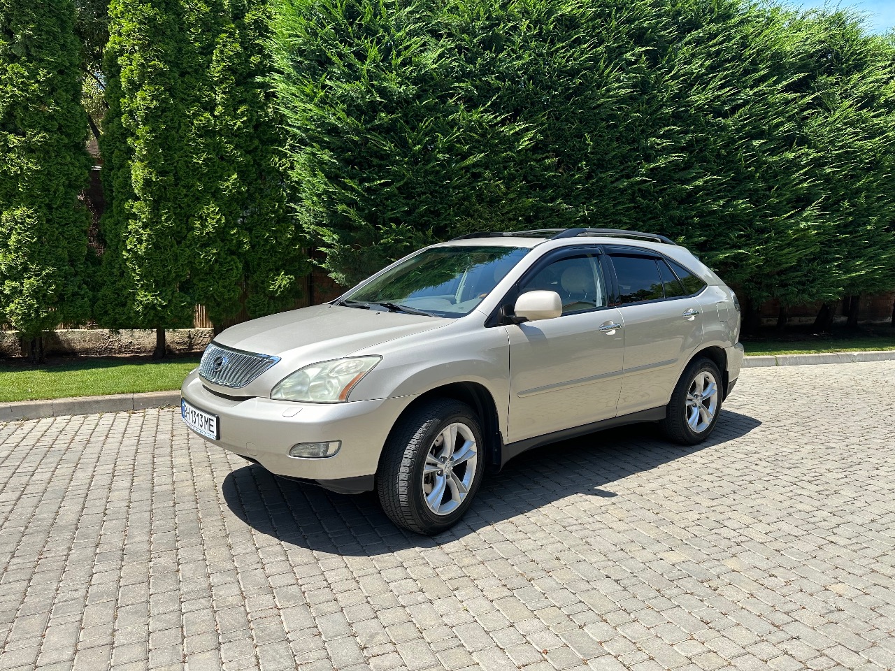 Lexus RX - фото 10