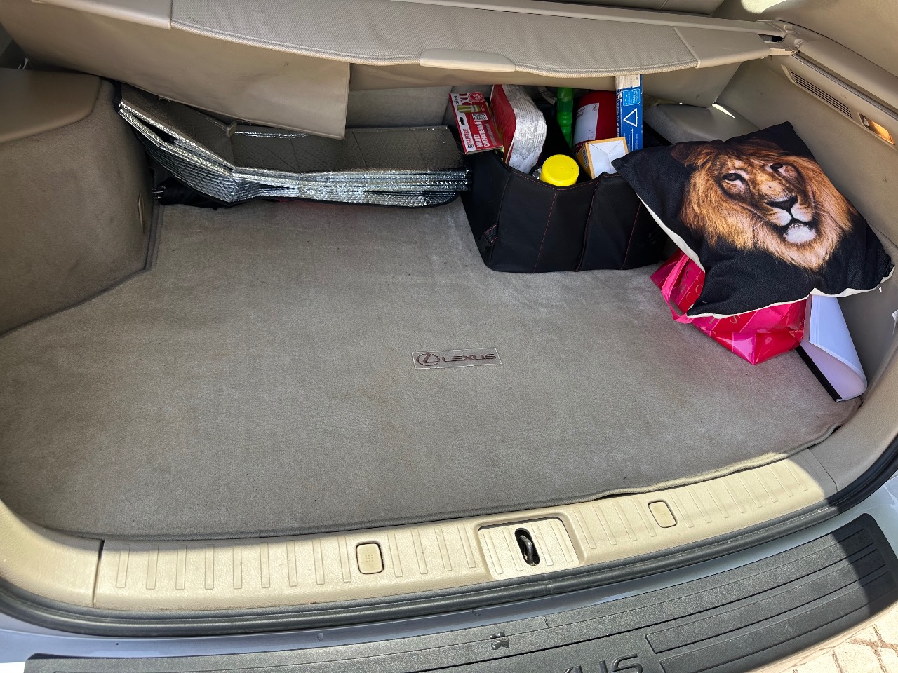 Lexus RX - фото 25