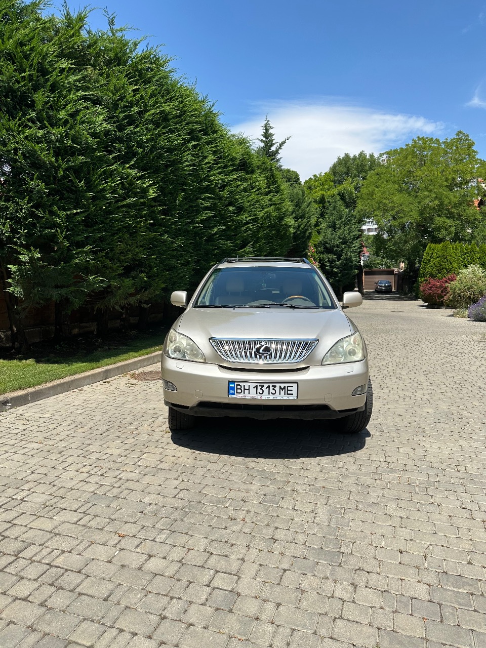 Lexus RX - фото 2